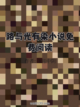 路与光有染小说免费阅读