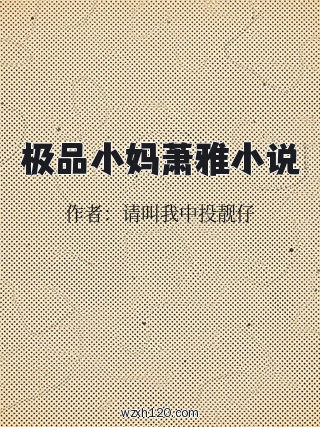极品小妈萧雅小说