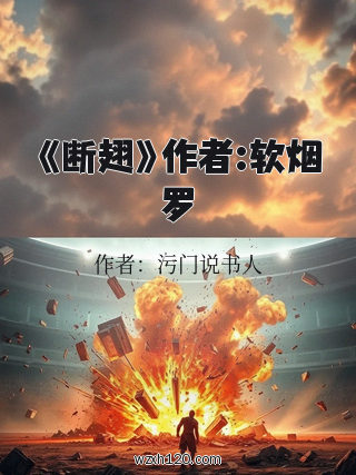 《断翅》作者:软烟罗