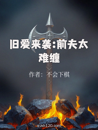 旧爱来袭:前夫太难缠