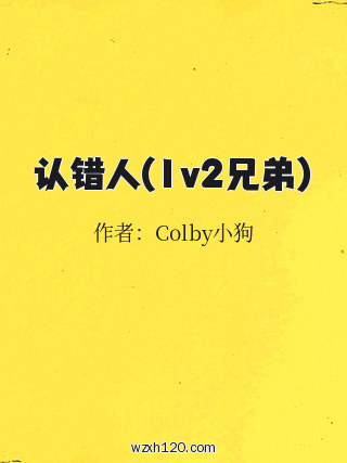 认错人(1v2兄弟)