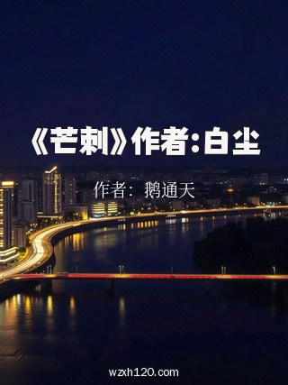 《芒刺》作者:白尘