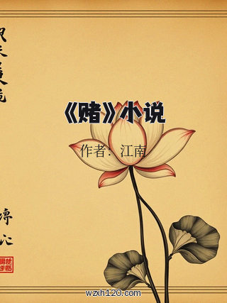 《赌》小说
