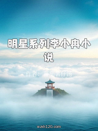 明星系列李小冉小说