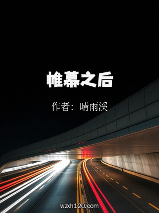 帷幕之后