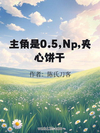 主角是0.5,Np,夹心饼干