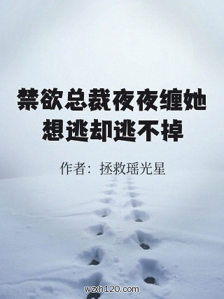 禁欲总裁夜夜缠她想逃却逃不掉