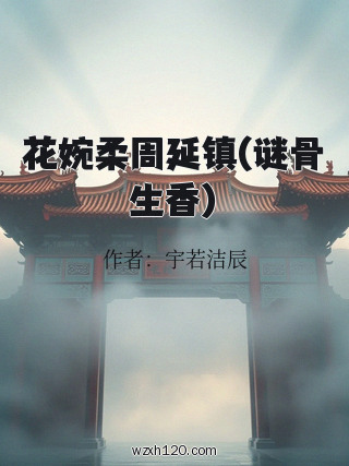 花婉柔周延镇(谜骨生香)