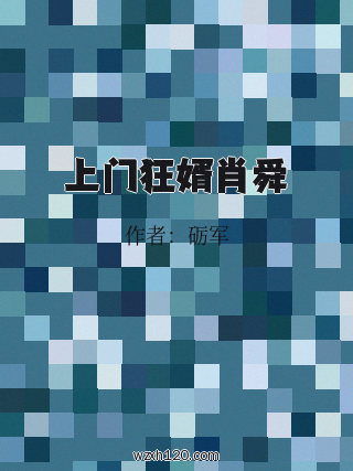 上门狂婿肖舜
