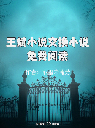 王斌小说交换小说免费阅读