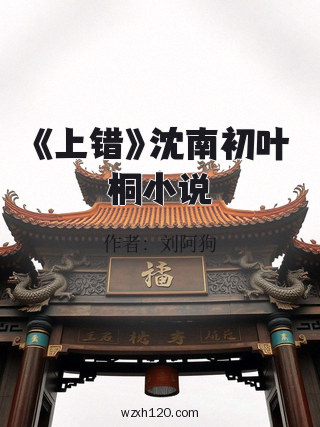 《上错》沈南初叶桐小说