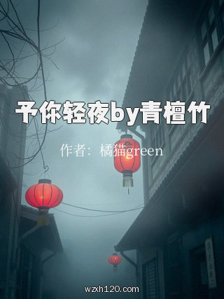 予你轻夜by青檀竹