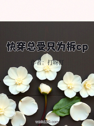 快穿总受只为拆cp