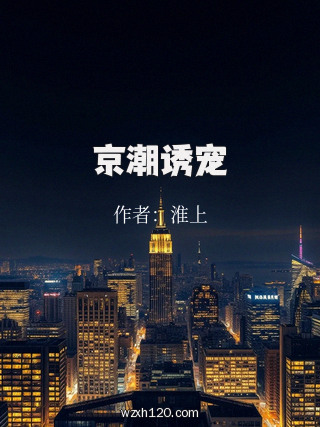 京潮诱宠