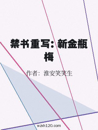 禁书重写:新金瓶梅