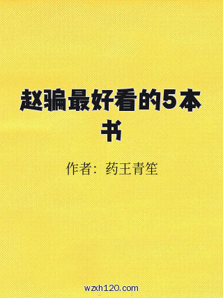 赵骗最好看的5本书