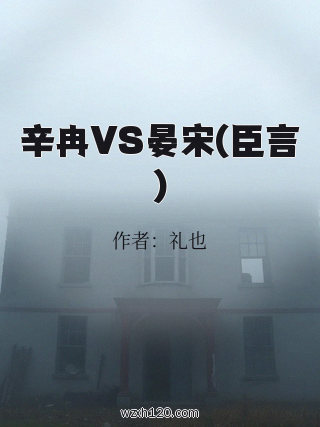 辛冉VS晏宋(臣言)