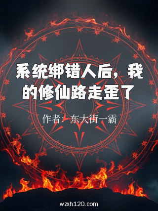 系统绑错人后,我的修仙路走歪了