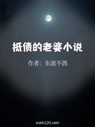 抵债的老婆小说