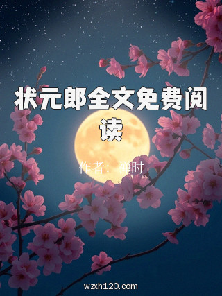 状元郎全文免费阅读