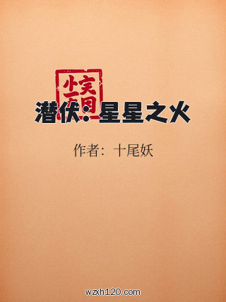 潜伏:星星之火