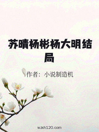 苏晴杨彬杨大明结局