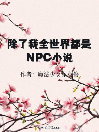 除了我全世界都是NPC小说