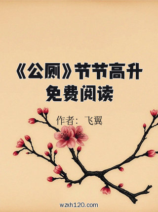 《公厕》节节高升免费阅读