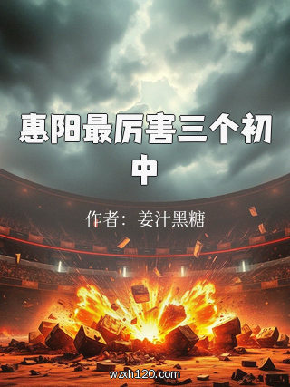 惠阳最厉害三个初中
