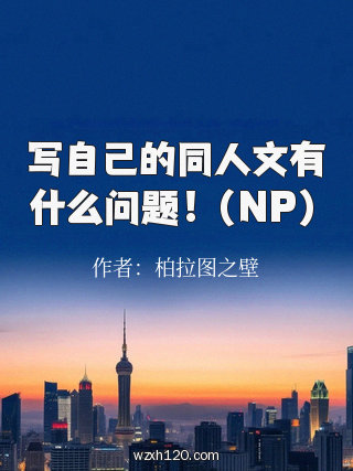 写自己的同人文有什么问题!(NP)