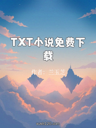 TXT小说免费下载