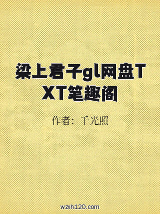 梁上君子gl网盘TXT笔趣阁