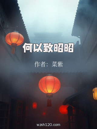 何以致昭昭