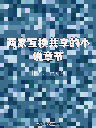 两家互换共享的小说章节
