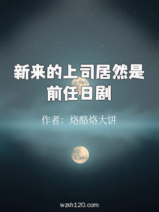 新来的上司居然是前任日剧