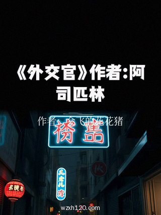 《外交官》作者:阿司匹林