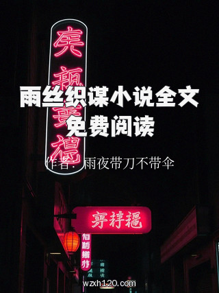 雨丝织谋小说全文免费阅读