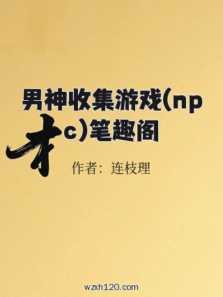 男神收集游戏(npc)笔趣阁