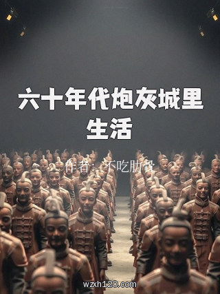 六十年代炮灰城里生活