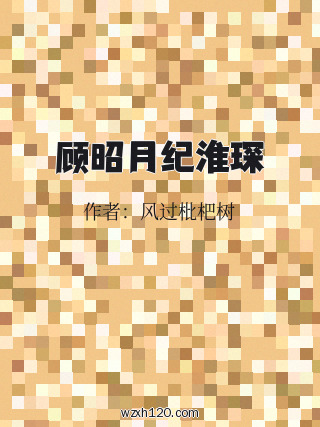 顾昭月纪淮琛