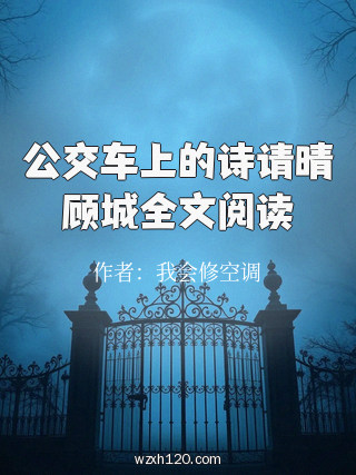 公交车上的诗请晴顾城全文阅读