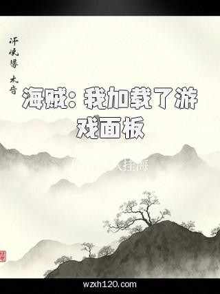 海贼:我加载了游戏面板