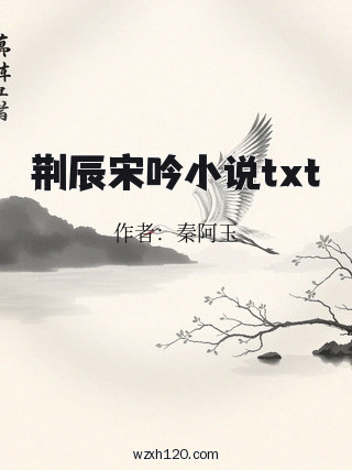 荆辰宋吟小说txt