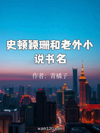 史顿颖珊和老外小说书名