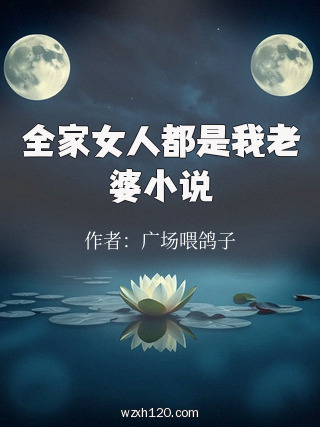全家女人都是我老婆小说