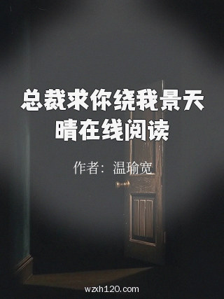 总裁求你绕我景天晴在线阅读