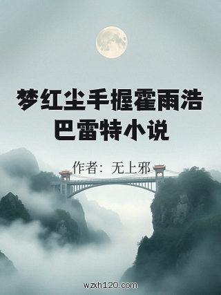 梦红尘手握霍雨浩巴雷特小说