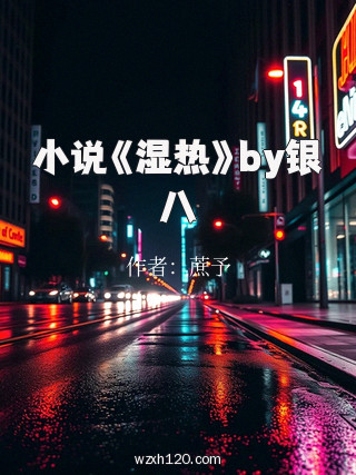 小说《湿热》by银八