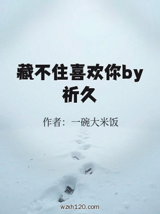 藏不住喜欢你by祈久