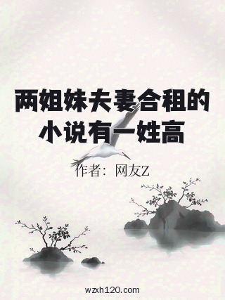 两姐妹夫妻合租的小说有一姓高
